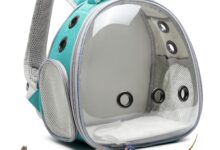 Best Rabbit Carrier Backpack