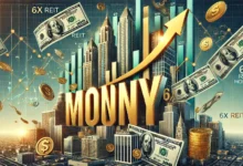 Money 6X REIT Holdings