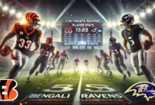 bengals vs baltimore ravens match player stats