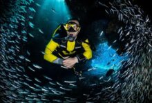Night Diving Tips