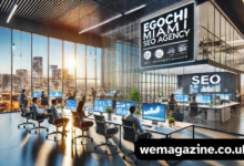Egochi Miami SEO Agency