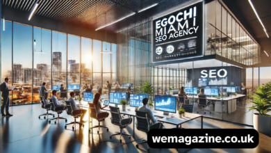 Egochi Miami SEO Agency