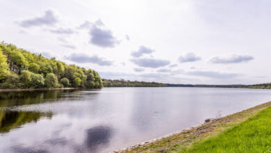 Reservoirs Near Me