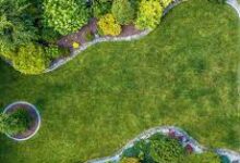 Smart Landscaping Tips for Business Owners