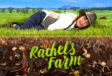 Rachels Farm