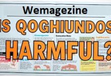 Is Qoghundos Harmful