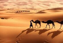 Sahara Desert