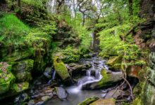 Free Places to Visit Near Me: Discover Amazing Days Out Without Spending a Fortune