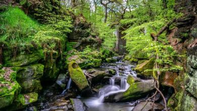 Free Places to Visit Near Me: Discover Amazing Days Out Without Spending a Fortune